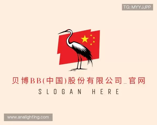发现贝博BB